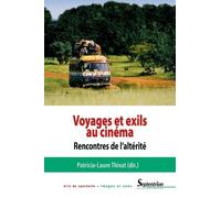 Voyages Et Exils Au Cinéma - Rencontres De L'altérité