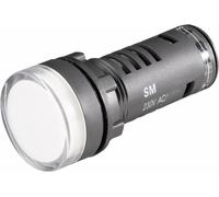 Voyant de signalisation LED Barthelme 58602414 bleu 24 V/DC, 24 V/AC 1 pc(s)