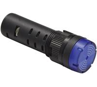 Voyant de signalisation LED Barthelme 58931213 vert 12 V/DC, 12 V/AC 20 mA 1 pc(s)