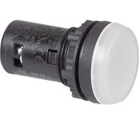 Voyant lumineux BACO L20SC50L 224600 blanc 24 V 1 pc(s)