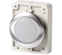 Voyant lumineux Eaton M30C-FL-W 183287 blanc 1 pc(s)