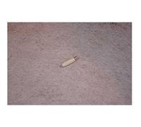 Voyant vert frigo/congelateur Beko 4502050500 G