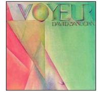 Voyeur