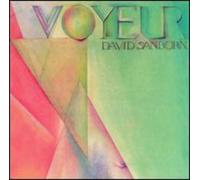 Voyeur
