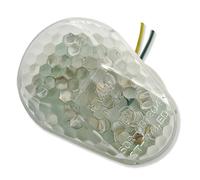 Vicma Clignotant VIC-9610 - Clair - Pour moto