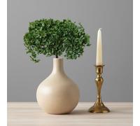 Vrai Hortensia stabilisé éternel Vert - Bouquet de Fleurs séchée Naturelle préservée - Bouquet XL composé d'une ou 2 tiges Grand Format (Vert)