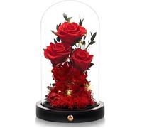 Vrai Rose Eternelle sous Cloche,Femmes Cadeau Anniversaire,Rose Fleur avec LED Lumières, Rose sous DôMe,Cadeau Saint Valentin