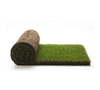 Vraie pelouse herbe - PratoErboso Shop - 2,5 m² pré à rouleaux de 1 ^ choix en herbe naturelle (5 rouleaux de 0,5 m²)