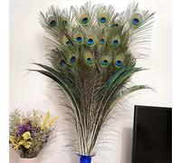 Vraies plumes de paon naturelles, plumes de décoration de mariage, paons naturels avec des yeux, décoration de fête, décoration de la maison-20 plumes de paon aux grands yeux_80cm-90cm