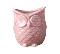 vreplrse Superbe jardinière en céramique en forme de hibou. Joli pot de fleurs poli pour petites plantes et bonsaïs. Adorable pot fleurs forme hibou pour décoration d'intérieur, Non écoute Rose