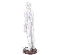 Vroomoto Modèle D'acupuncture Modèle de Pratique D'acupuncture du Corps Humain de Corps D'enseignement du Complet 52 Cm PVC avec Base et (Femme)