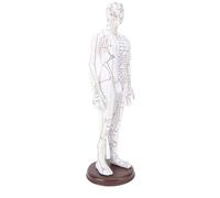 Vroomoto Modèle D'acupuncture Modèle de Pratique D'acupuncture du Corps Humain de Corps D'enseignement du Complet 52 Cm PVC avec Base et (Homme)
