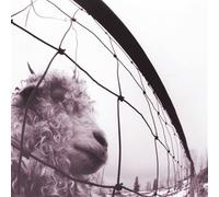 Pearl Jam – Vs. – Vinyle 2 LP – Édition 30e anniversaire