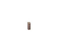 VS BOX 100-4 Walnut