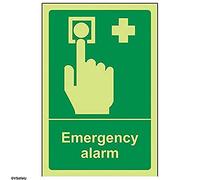 vsafety 23010 AG-G "d'alarme sécurité Panneau état général, Glow in the Dark, 1 mm en plastique, Portrait, 100 mm x 150 mm, vert