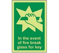 vsafety 23015 AG-G "Break en verre pour clé Lave-vaisselle Panneau état général, Glow in the Dark, 1 mm en plastique, Portrait, 100 mm x 150 mm, vert