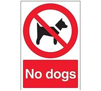vsafety 54009 au-r Panneau "No Chiens « L'Interdiction, en plastique rigide, Portrait, 200 mm x 300 mm, noir/rouge