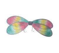 Vseutiac Ailes de Libellule pour Enfants, Costume Créatif pour Fêtes, Spectacles, Carnavals, Côté argent
