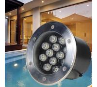 VSHENG Lumières Enterrées sous-Marines Basse Tension LED Lumière D'étang Étanchéité IP68 AC12/24V Lumières De Piscine pour Cascade Bassins Villa Lumières De Paysage(Yellow,12W-AC12V)