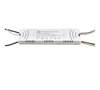 VSPPJYFG Pilote LED Intelligent à télécommande AC220V 24-40W 40-60W 2.4G, alimentations LED à Courant Constant 230mA(40-60W-4 RB)