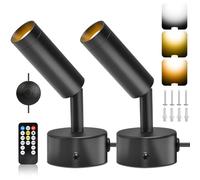 vsshe 2 Applique Murale LED d'Intérieur, Spots d'Exposition d'Art avec Minuterie & Télécommande, 3 Couleur Réglables, Spot Lamp avec Fil Noires Modernes Rotatives à 360° pour Bijoux Musées Galeries