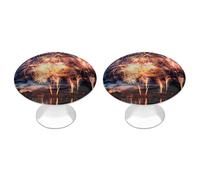 VstaDank Beau bouton de tiroir rond en forme de feu d'artifice robuste avec vis de montage en acier inoxydable moderne pour placard, salle de bain