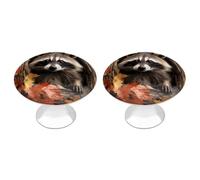VstaDank Lot de 2 boutons d'armoire ronds avec vis en alliage d'aluminium pour tiroirs de commode Motif raton laveur en automne