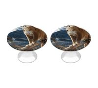 VstaDank Panther Mountain Lion Bouton de tiroir rond robuste avec vis de montage en acier inoxydable moderne pour placard, salle de bain