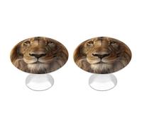 VstaDank Poignée de tiroir ronde en forme de tête de lion africaine robuste avec vis de montage en acier inoxydable pour placard, salle de bain