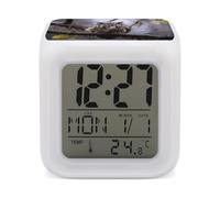 VstaDank Réveil numérique à LED avec changement de couleur - Super puissant - Table de chevet - 7 couleurs