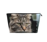 VTCTOASY Trousse de maquillage pour femme - Motif chat qui casse le verre dans la voiture - Grande capacité - Portable - Organiseur de maquillage portable - En cuir synthétique - Imperméable - Jolie