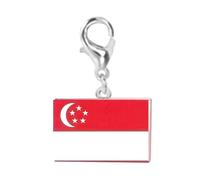 VTIDOBE Breloque drapeau en acier inoxydable, fermoir mousqueton, U argenté | Porte-clés pour chaîne de bijoux, petit profil, tenue quotidienne