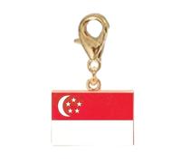 VTIDOBE Breloque drapeau en acier inoxydable, fermoir mousqueton, V doré | Porte-clés pour chaîne de bijoux, petit profil, tenue quotidienne