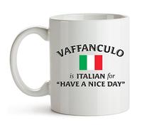 VTmaio Tasse à café italienne avec inscription « Vaffanculo Is Italian for Have A Nice Day », 325 ml