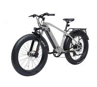 VTT électrique Bodywel D6 avec moteur 250 W et batterie 48 V 13,5 Ah