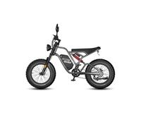 VTT électrique Fafrees F20 Ultra, pneus tout-terrain 20" × 5.0, batterie 48 V 25 Ah, style moto, gris Gris