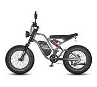 VTT électrique Fafrees F20 Ultra, pneus tout-terrain 20" × 5.0, batterie 48 V 25 Ah, style moto, gris Gris