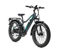 VTT électrique JOBOBIKE Robin Pro, batterie 48 V 20 Ah, Shimano 8 vitesses - Gris