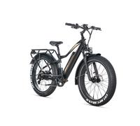VTT électrique JOBOBIKE Robin Pro, batterie 48 V 20 Ah, Shimano 8 vitesses - or