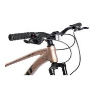 VTT hardtail 29 pouces AESVAR, freins à disque hydrauliques, transmission Shimano 1x9, cadre aluminium, marron