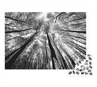 Vue Canopy forêt Puzzle 1000 Pièces avec Clic Parfait, Ensemble De Casse-tête en Puzzle Puzzle De Développement Cognitif pour Une Activité Intergénérationnelle, Passion Nature Et Faune 52x38cm/1000p