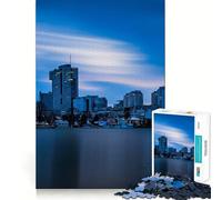 Vue de Vienne au crépuscule Puzzle de 1000 pièces pour Adultes Jeu de mémoire Assemblage précis sans espaces Activité apaisante pour Une Pause mentale (38x52cm)