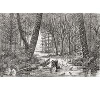 Vue imaginaire d'une forêt de l'âge carbonifère ou du charbon. De l'univers ou l'infiniment grand et l'infiniment petit publié en 1882. Poster imprimé par Ken Welsh (19 x 12)