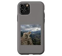 Vue sur la vallée des Gardiens de la Falaise des Pyrénées Coque pour iPhone 11 Pro