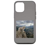 Vue sur la vallée des Gardiens de la Falaise des Pyrénées Coque pour iPhone 12/12 Pro
