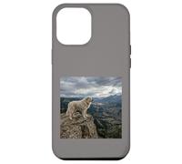 Vue sur la vallée des Gardiens de la Falaise des Pyrénées Coque pour iPhone 12 Pro Max