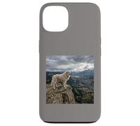 Vue sur la vallée des Gardiens de la Falaise des Pyrénées Coque pour iPhone 13