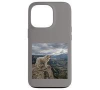 Vue sur la vallée des Gardiens de la Falaise des Pyrénées Coque pour iPhone 13 Pro