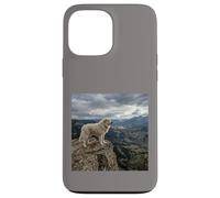 Vue sur la vallée des Gardiens de la Falaise des Pyrénées Coque pour iPhone 13 Pro Max
