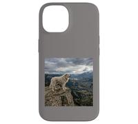 Vue sur la vallée des Gardiens de la Falaise des Pyrénées Coque pour iPhone 14